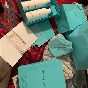 Tiffany and co necklace and cleaning kit